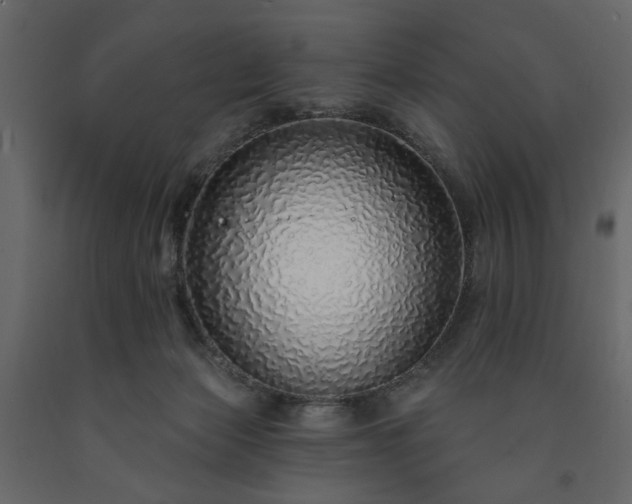 X0000091530173200708241719