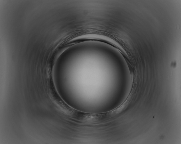 X0000091530174200708241719