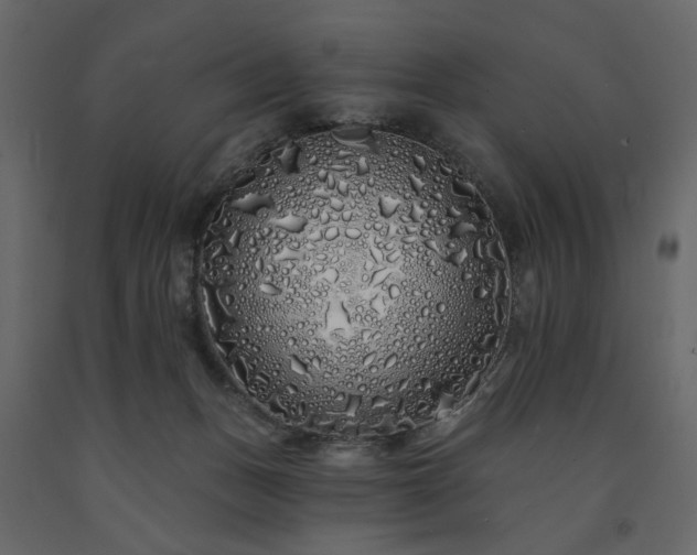 X0000091530175200708241719