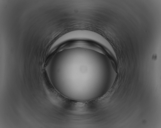X0000091530176200708241719