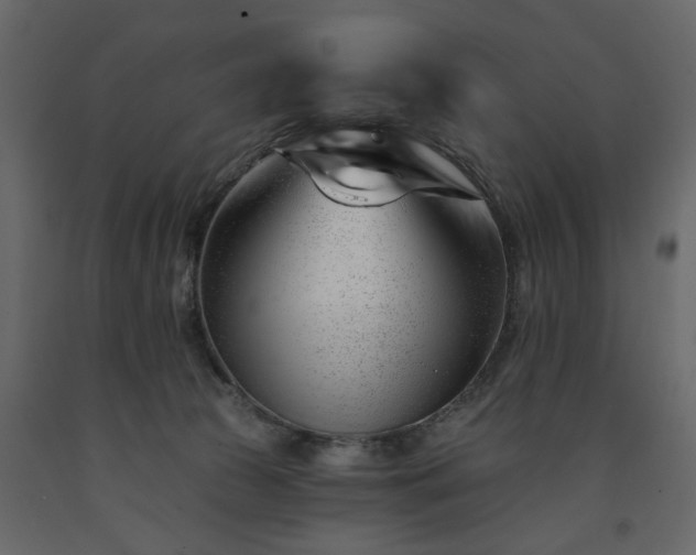 X0000091530177200708241719