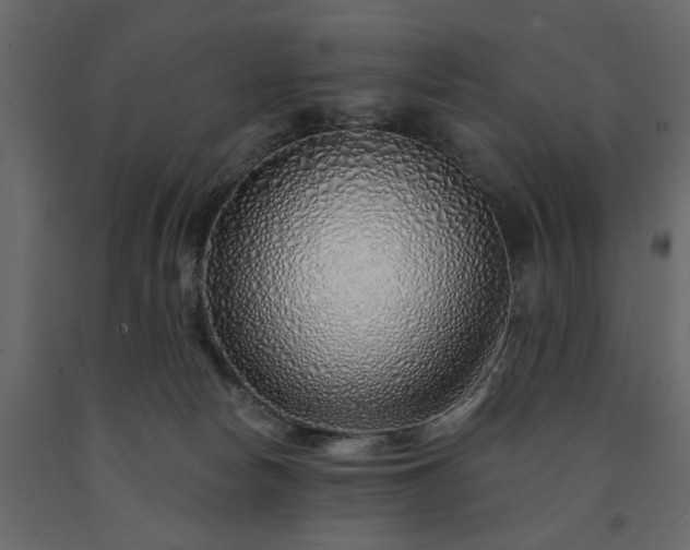 X0000091530178200708241719