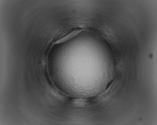 X0000091530179200708241719