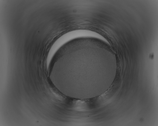 X0000091530180200708241719