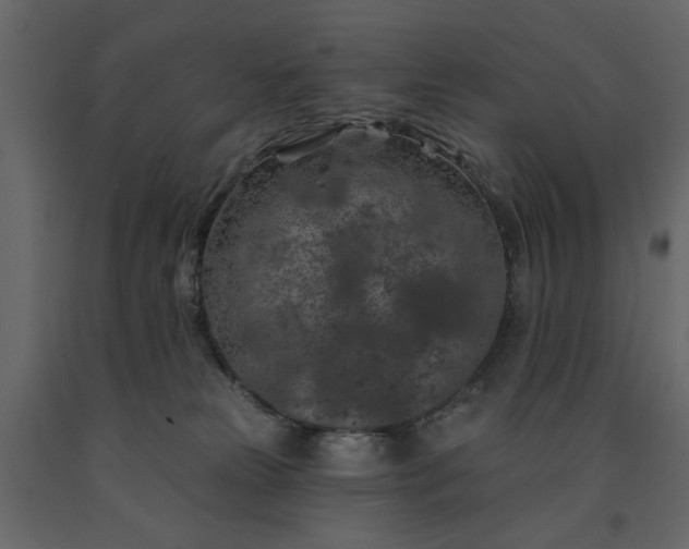 X0000091530181200708241719