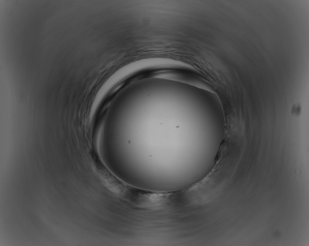 X0000091530184200708241719