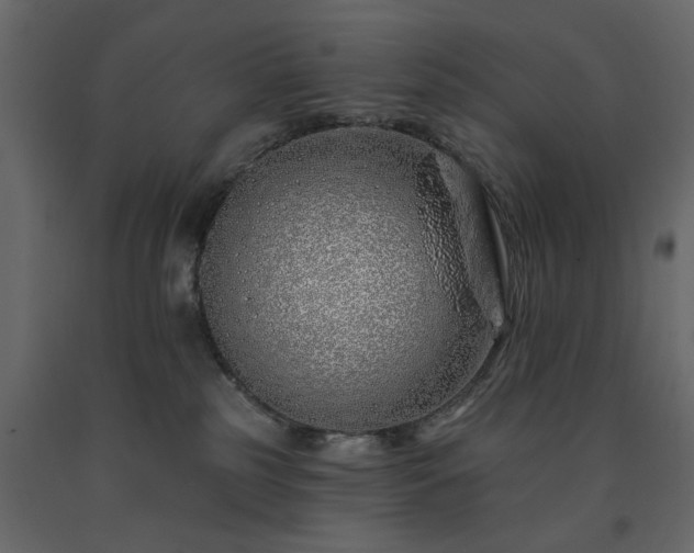 X0000091530185200708241719