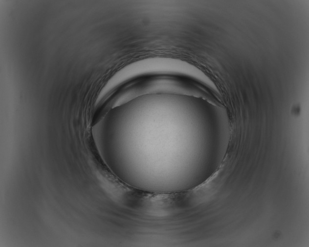 X0000091530186200708241719