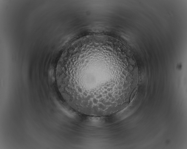 X0000091530187200708241719