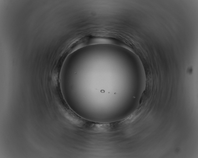 X0000091530188200708241719