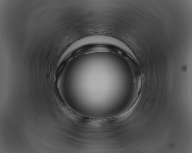 X0000091530190200708241720