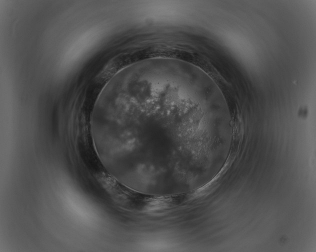 X0000091530191200708241720