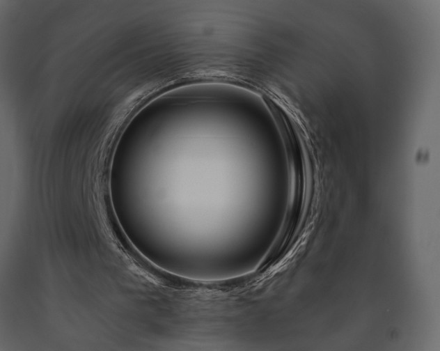 X0000091530193200708241719