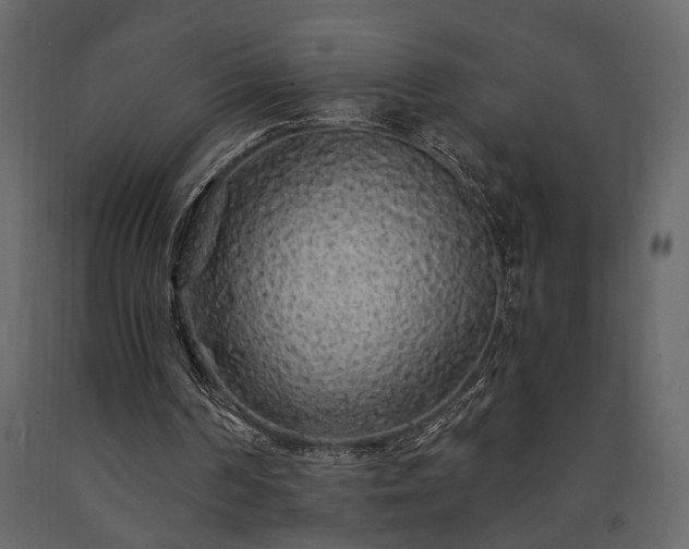 X0000091530194200708241719
