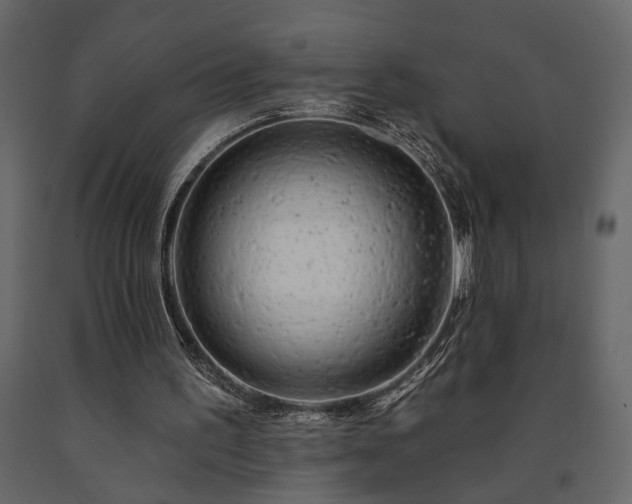 X0000091530195200708241719