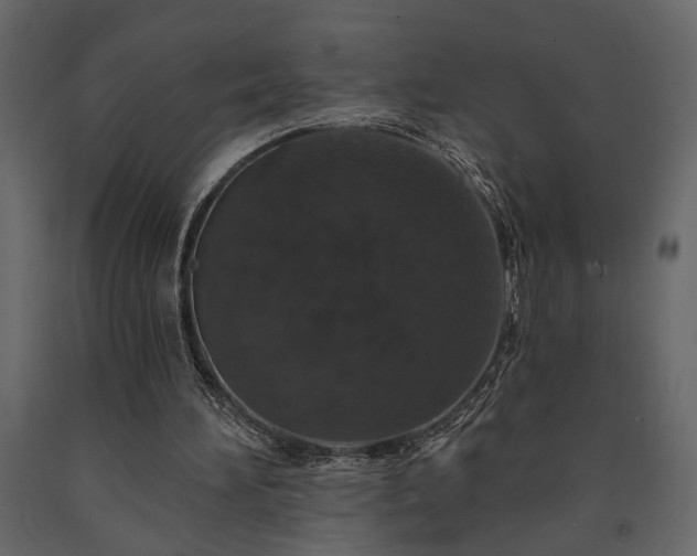 X0000091530196200708241719