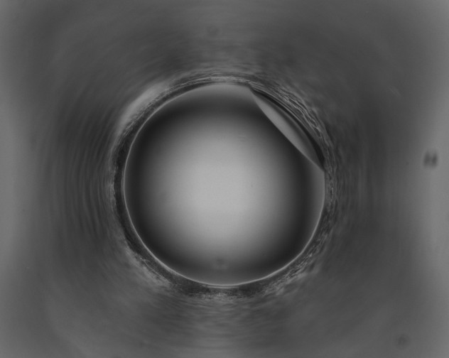 X0000091530197200708241719