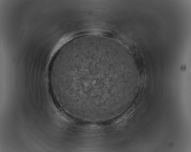 X0000091530198200708241719