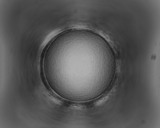 X0000091530199200708241719