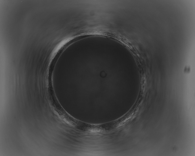 X0000091530200200708241719