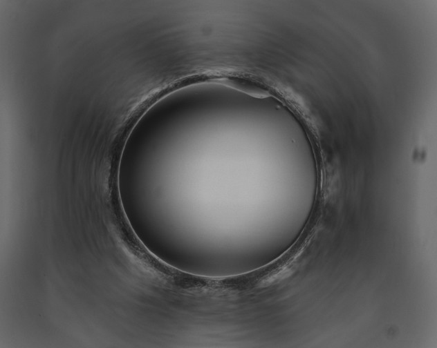 X0000091530201200708241719