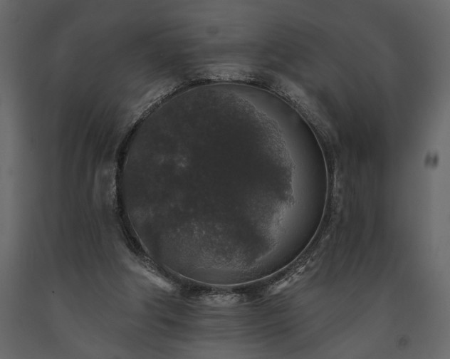 X0000091530202200708241719