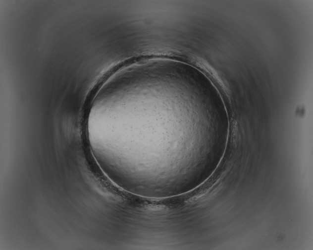 X0000091530203200708241719