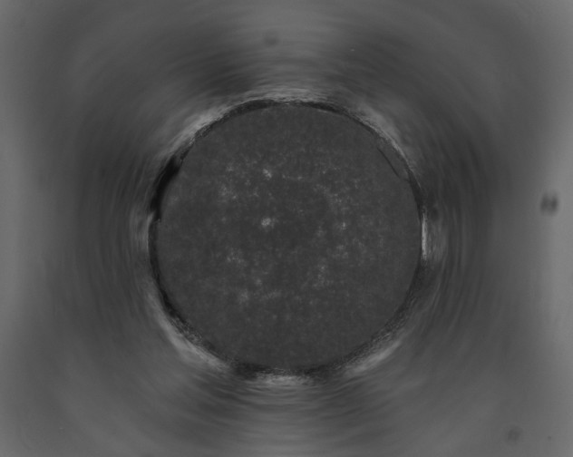X0000091530205200708241719