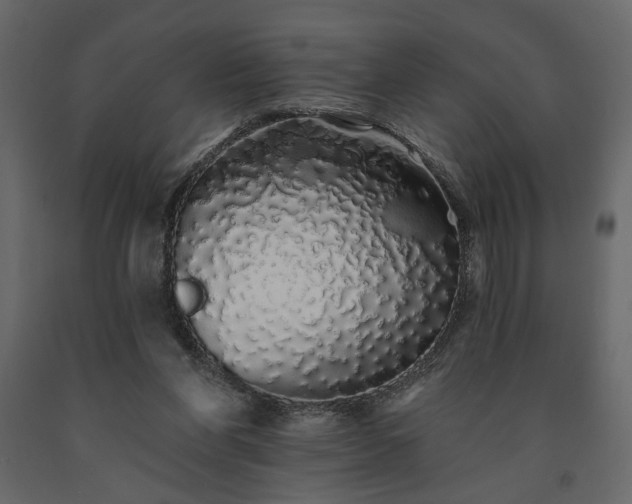 X0000091530206200708241719