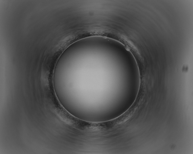 X0000091530209200708241719