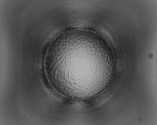 X0000091530210200708241719