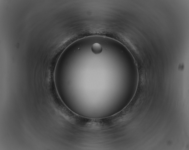 X0000091530211200708241719