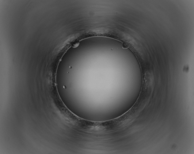 X0000091530212200708241719