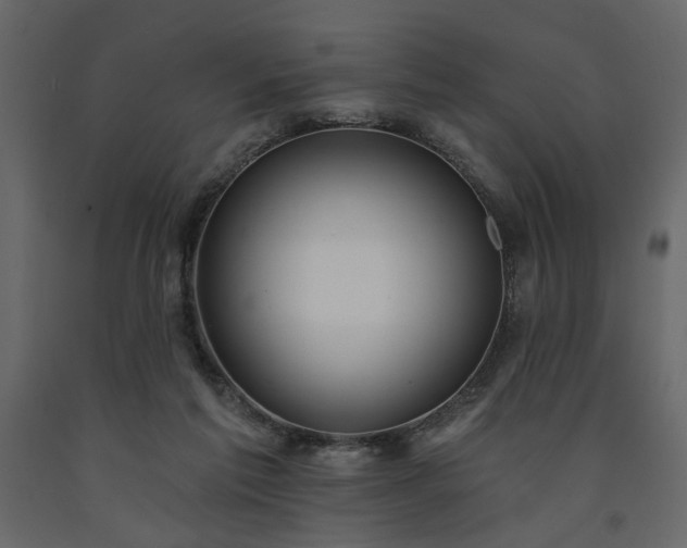 X0000091530213200708241719