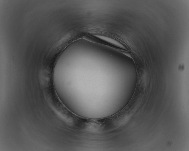 X0000091530215200708241719