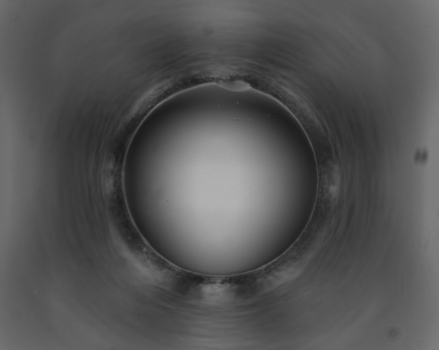X0000091530216200708241719
