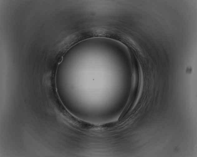 X0000091530217200708241719