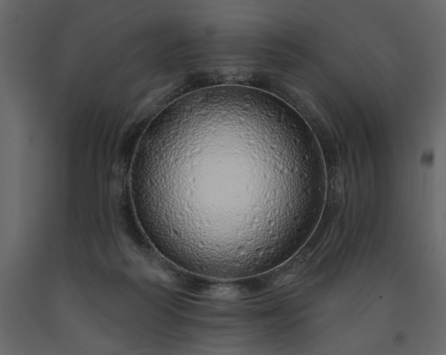 X0000091530218200708241719