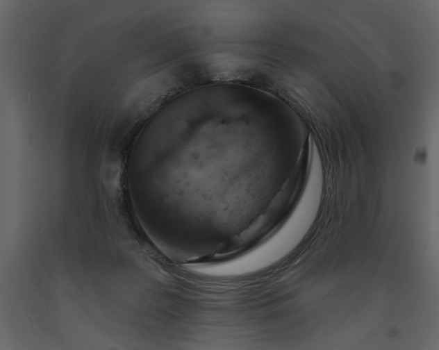 X0000091530219200708241719