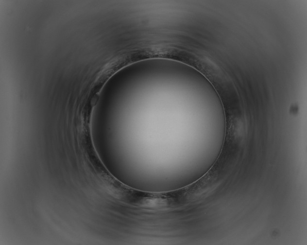 X0000091530220200708241719