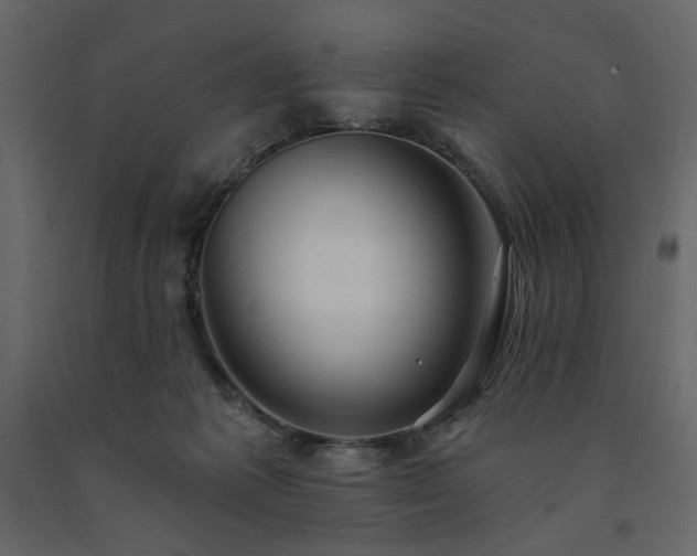 X0000091530221200708241719