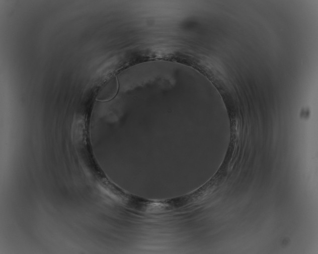 X0000091530222200708241719