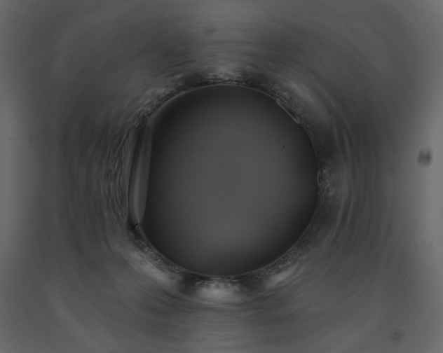 X0000091530223200708241719