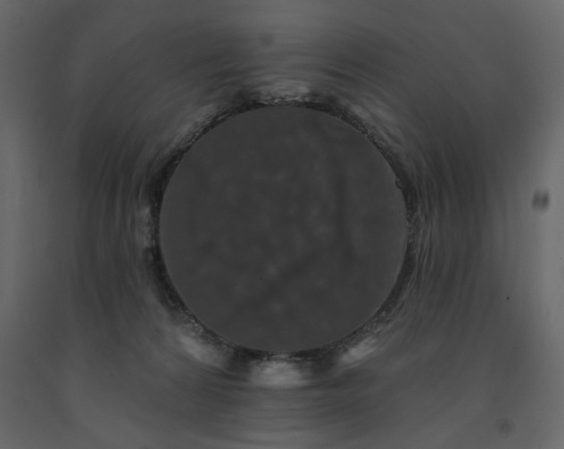 X0000091530224200708241719