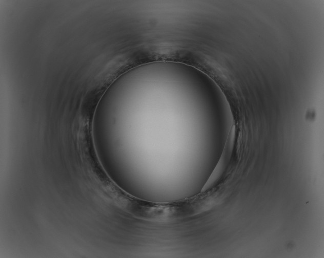X0000091530225200708241719