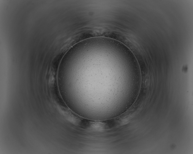 X0000091530226200708241719