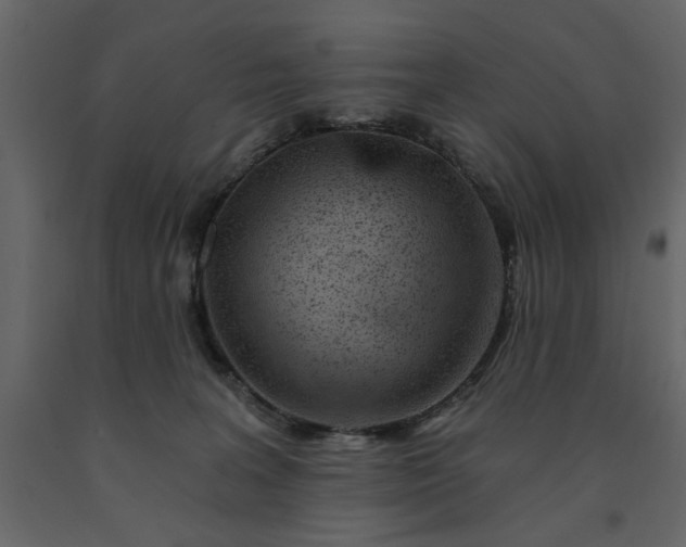 X0000091530227200708241719