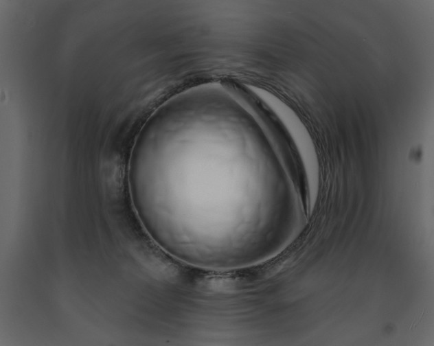 X0000091530228200708241719