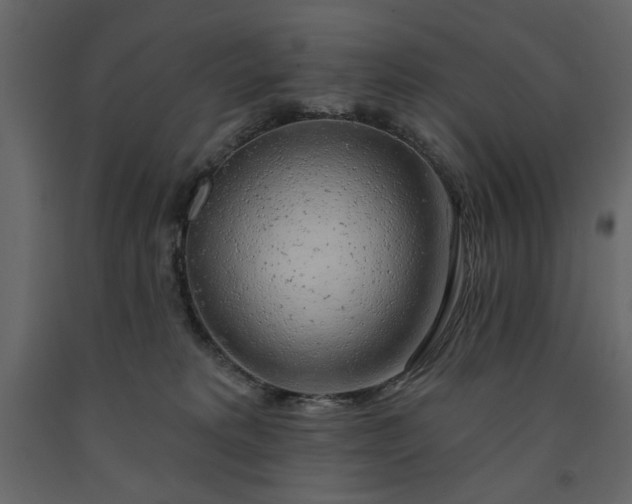 X0000091530229200708241719