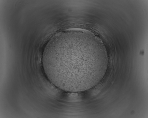 X0000091530230200708241718